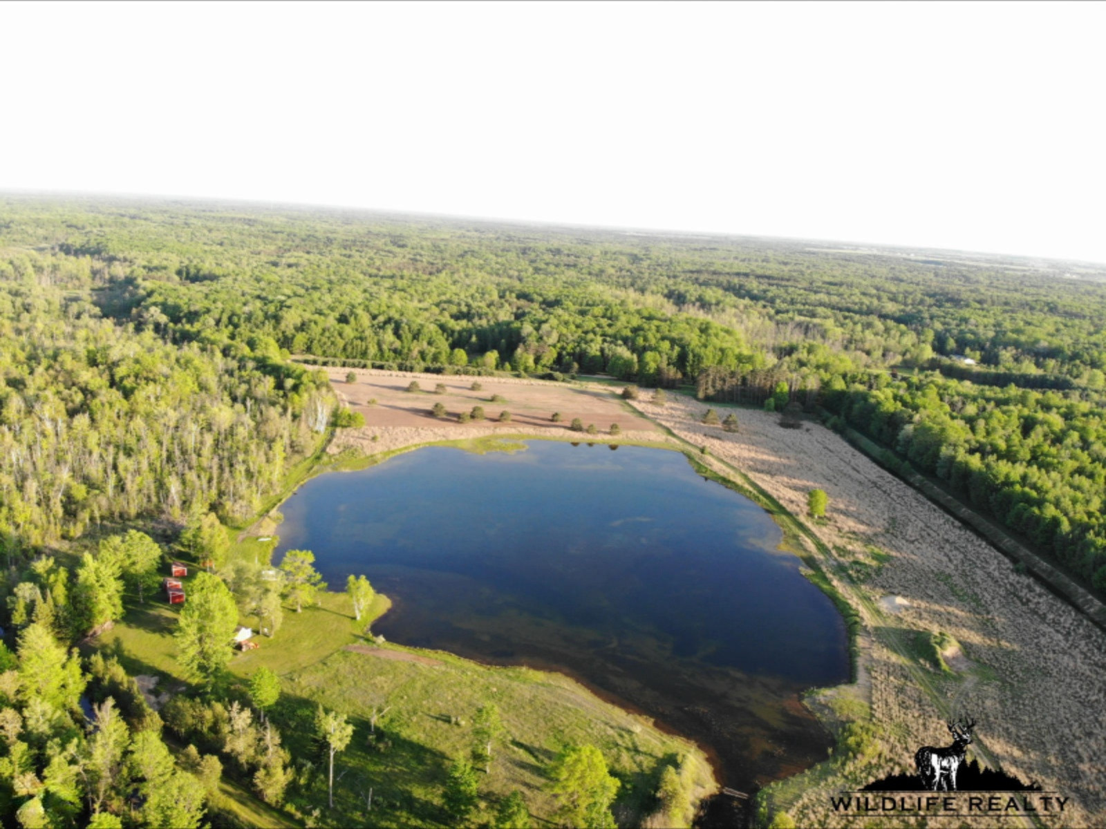 775 Sugar River Road Gladwin, MI 48624 - Photo 87 of 124 91