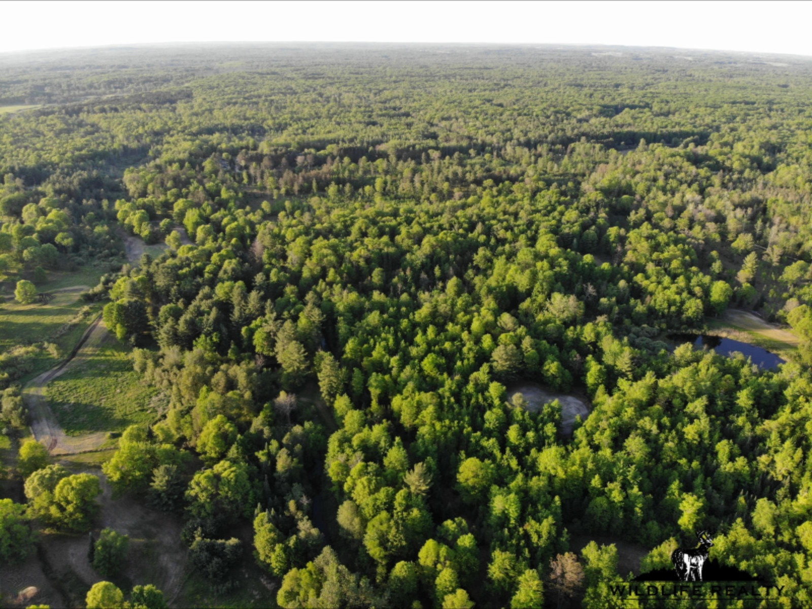 775 Sugar River Road Gladwin, MI 48624 - Photo 90 of 124 94