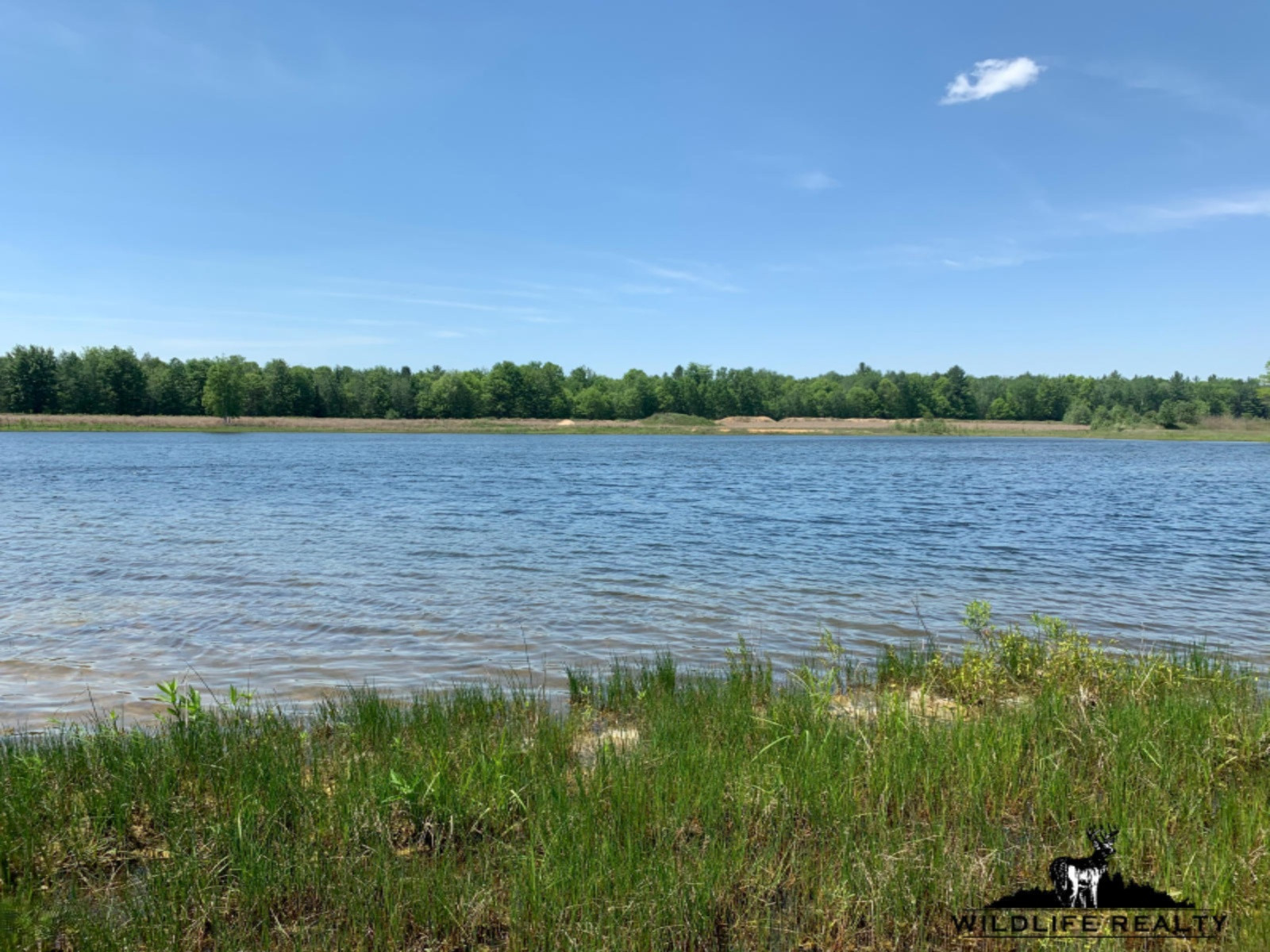 775 Sugar River Road Gladwin, MI 48624 - Photo 9 of 124 8