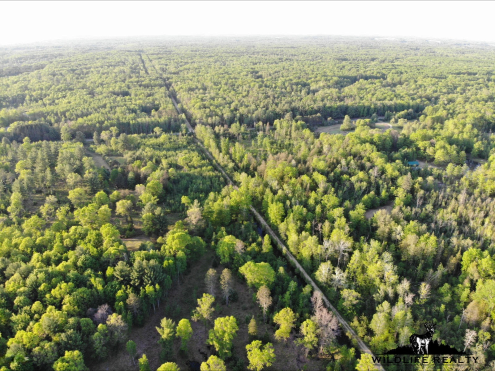 775 Sugar River Road Gladwin, MI 48624 - Photo 94 of 124 98
