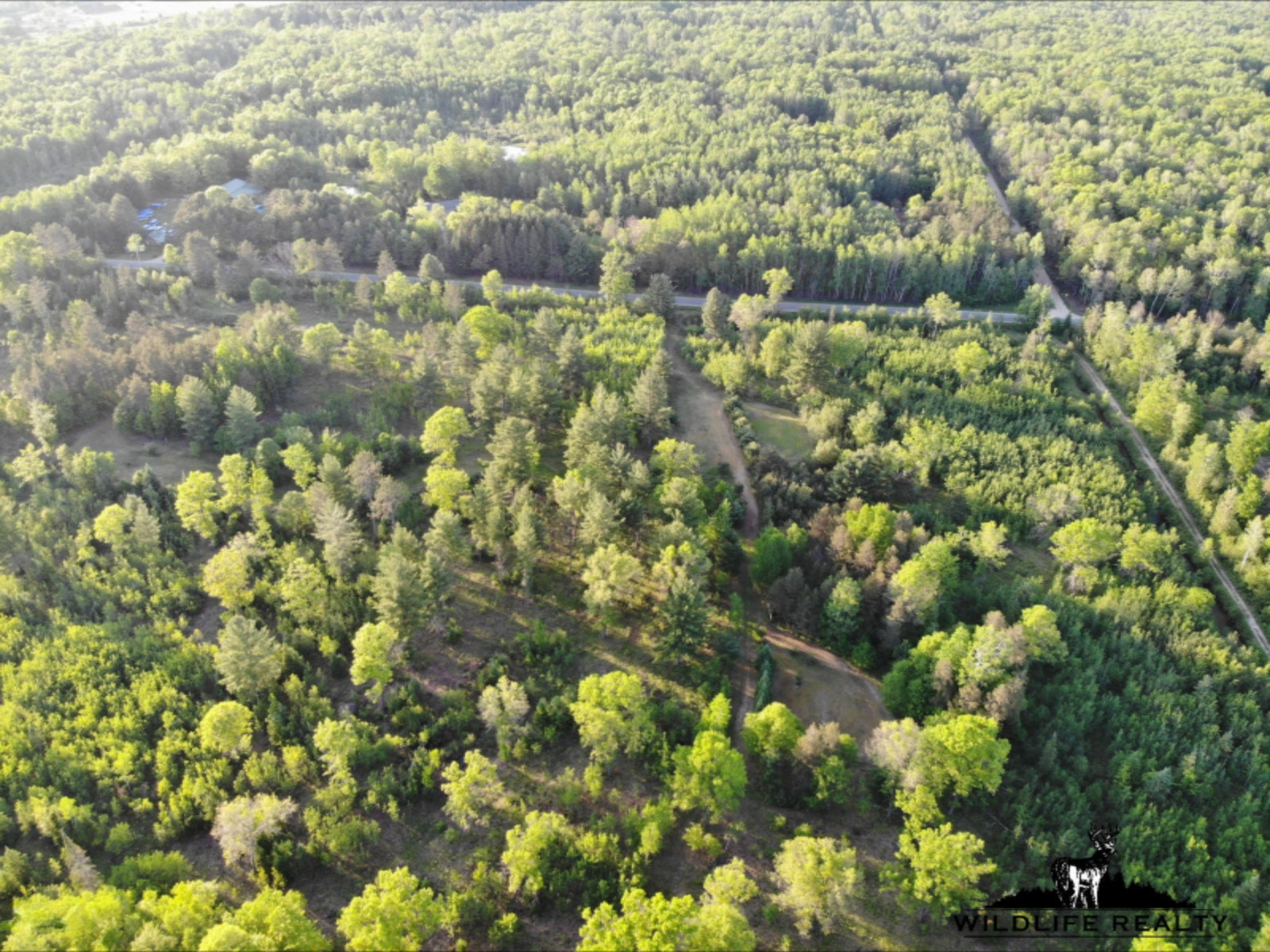 775 Sugar River Road Gladwin, MI 48624 - Photo 95 of 124 99
