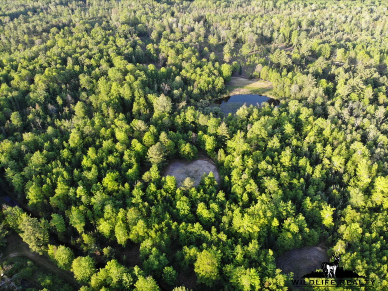 775 Sugar River Road Gladwin, MI 48624 - Photo 97 of 124 101