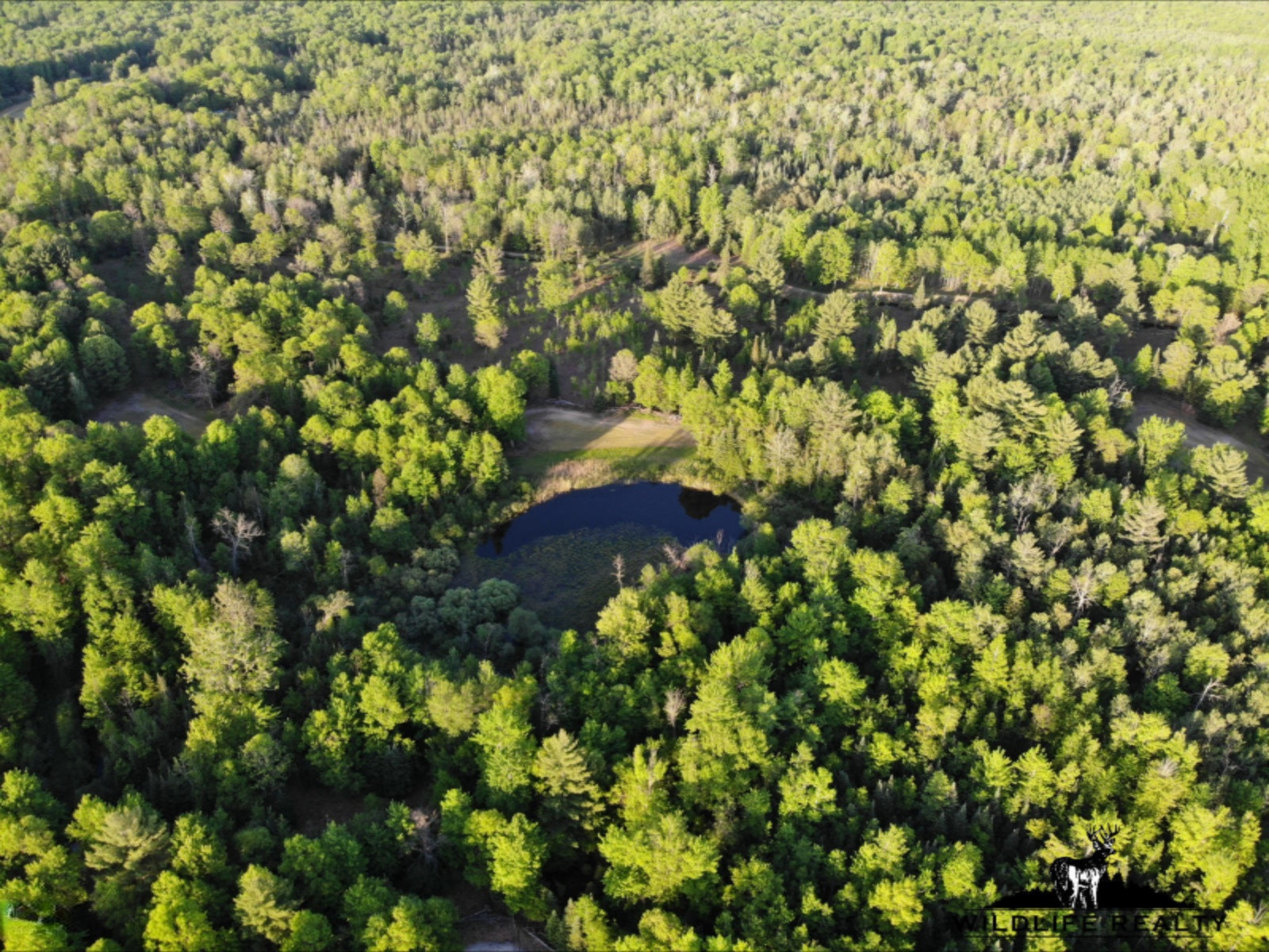 775 Sugar River Road Gladwin, MI 48624 - Photo 99 of 124 103