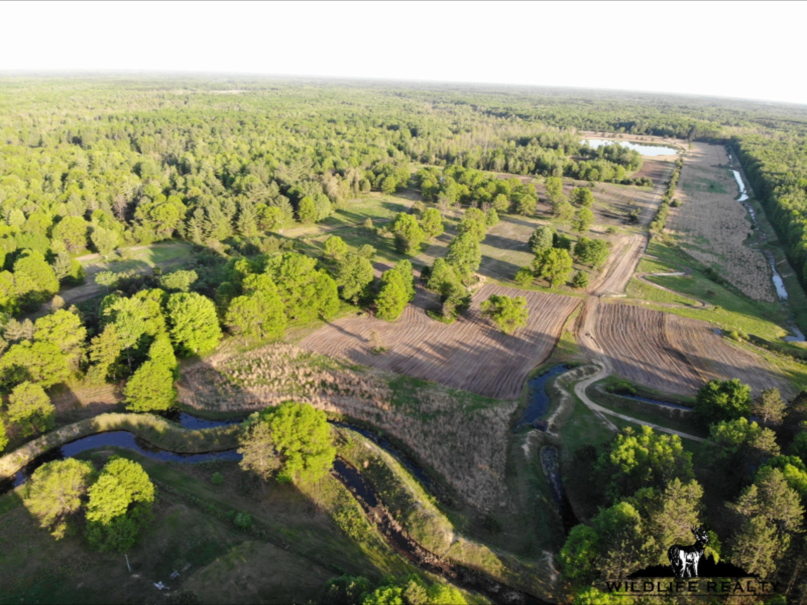 775 Sugar River Road Gladwin, MI 48624 - Photo 10 of 124 9