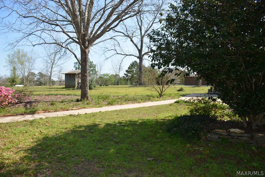 1443 Tom Fain Road Chancellor, AL 36316 - Photo 17 of 34 Gallery Image 17