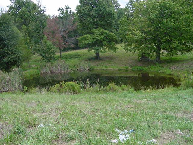 122 Ray Jent Road Bethpage, TN 37022 - Photo 2 of 8