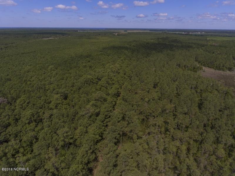 0 Sr 1140 Road Scranton, NC 27875 - Photo 3 of 4 58-Acres-Germantown-3