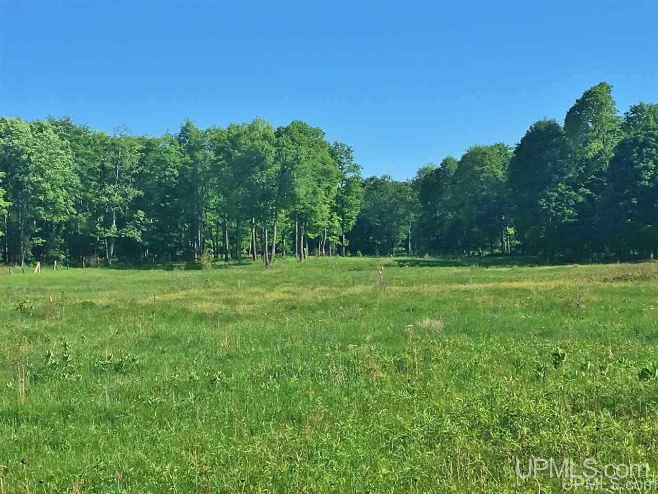 2057 Sd Road Cornell, MI 49818 - Photo 41 of 50