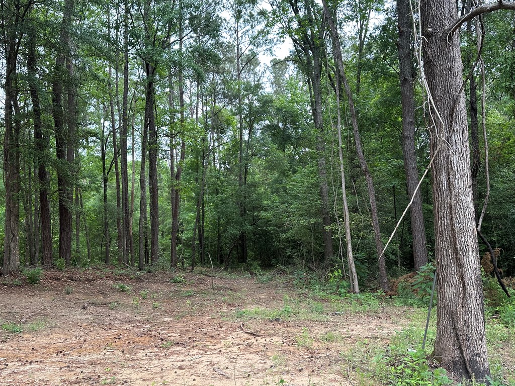 593 Mary McClendon Road Ozark, AL 36360 - Photo 58 of 65
