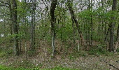 1555 Cherokee Street Vidor, TX 77662 - Photo 1 of 1 a view of a forest with a trees