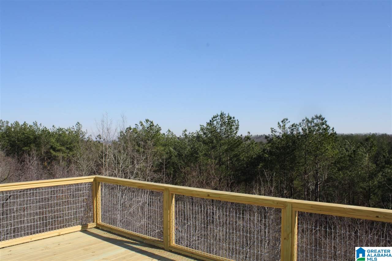 423 Oxford Way Pelham, AL 35124 - Photo 3 of 46