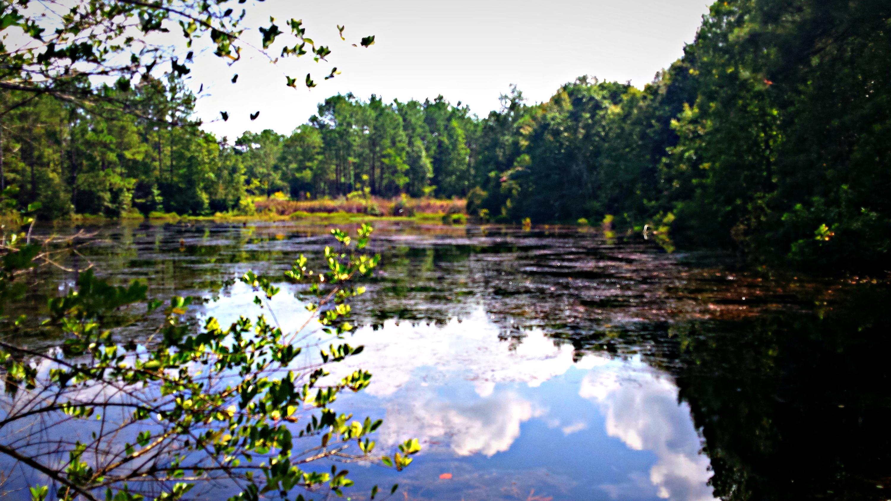 Xx Peacock Road DeFuniak Springs, FL 32433 - Photo 1 of 20 Gallery Image 1