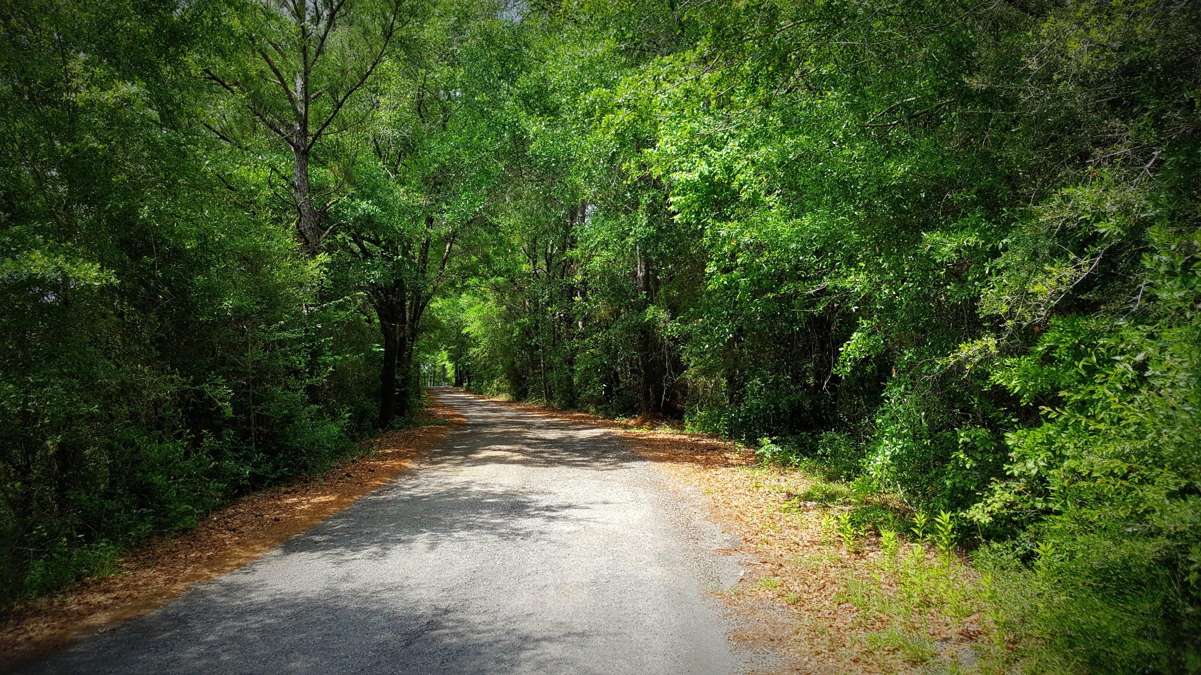 Xx Peacock Road DeFuniak Springs, FL 32433 - Photo 2 of 20 Gallery Image 2