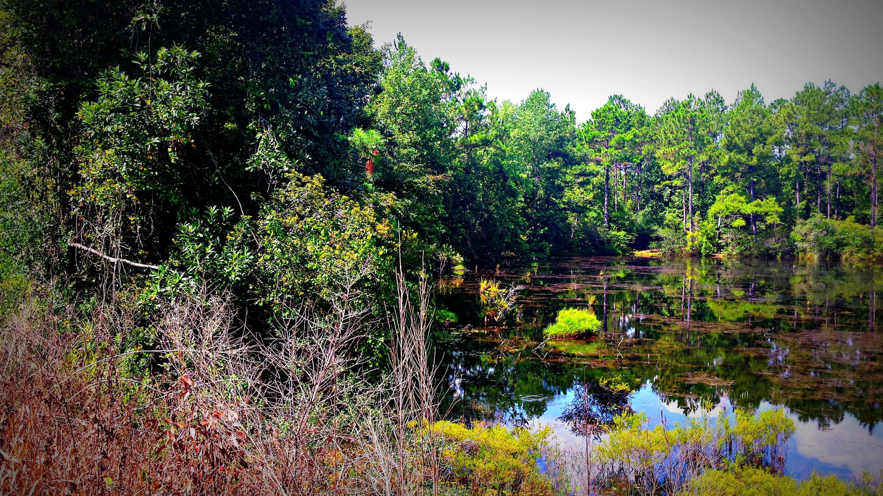Xx Peacock Road DeFuniak Springs, FL 32433 - Photo 11 of 20 Gallery Image 11