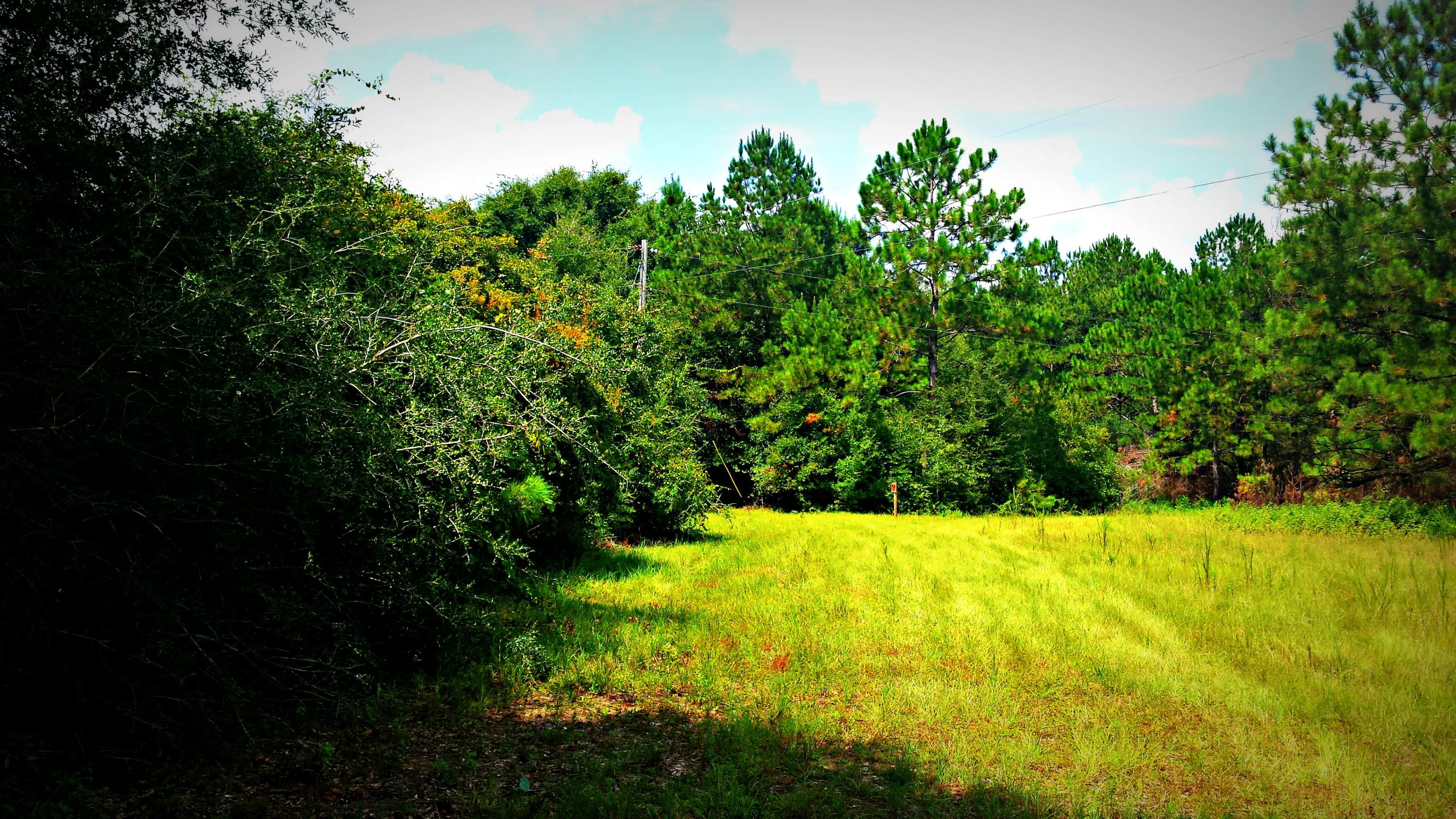 Xx Peacock Road DeFuniak Springs, FL 32433 - Photo 14 of 20 Gallery Image 14