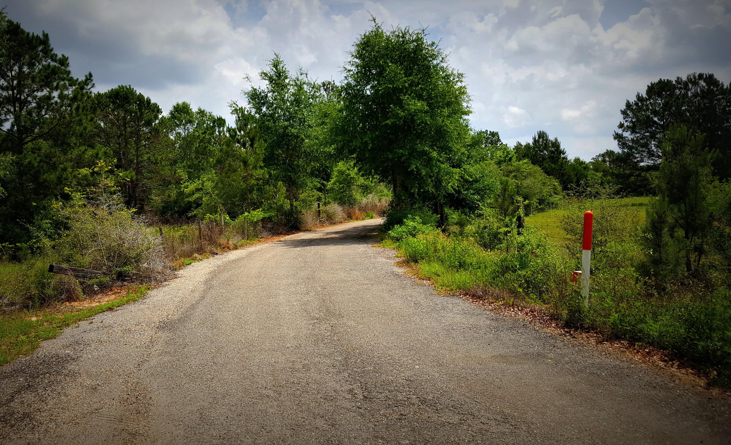 Xx Peacock Road DeFuniak Springs, FL 32433 - Photo 16 of 20 Gallery Image 16