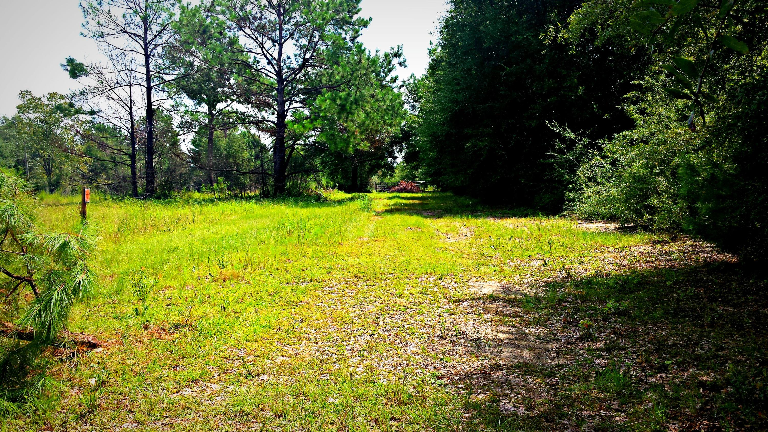 Xx Peacock Road DeFuniak Springs, FL 32433 - Photo 5 of 20 Gallery Image 5