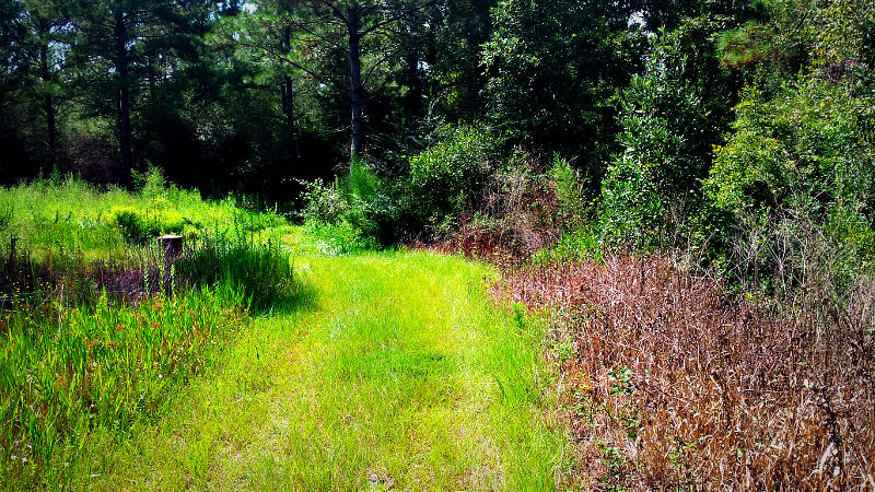 Xx Peacock Road DeFuniak Springs, FL 32433 - Photo 7 of 20 Gallery Image 7