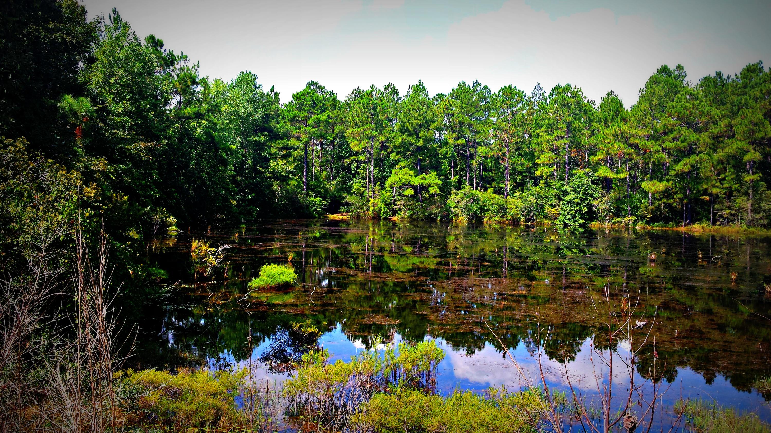Xx Peacock Road DeFuniak Springs, FL 32433 - Photo 9 of 20 Gallery Image 9
