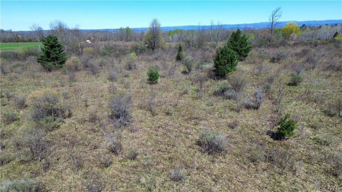 Lot 12 Reed Hill Road Fultonville, NY 12072 - Photo 11 of 15