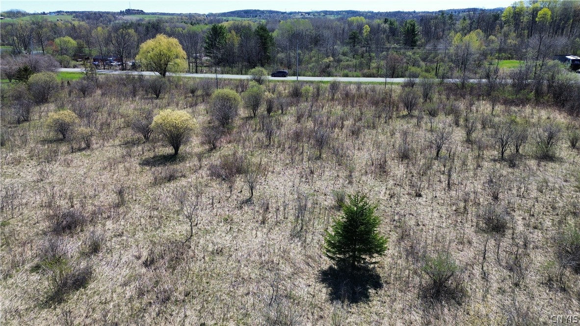 Lot 12 Reed Hill Road Fultonville, NY 12072 - Photo 12 of 15