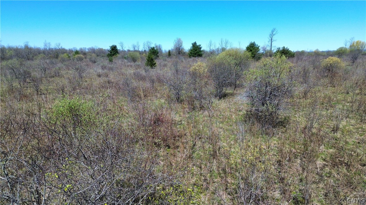 Lot 12 Reed Hill Road Fultonville, NY 12072 - Photo 13 of 15