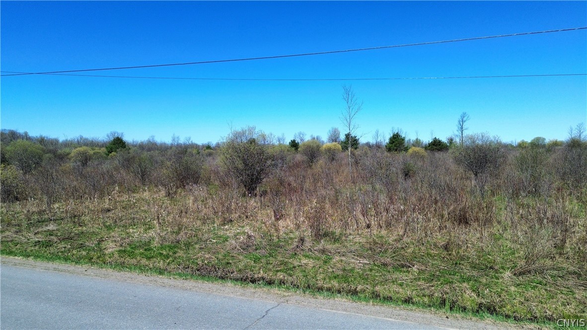 Lot 12 Reed Hill Road Fultonville, NY 12072 - Photo 14 of 15