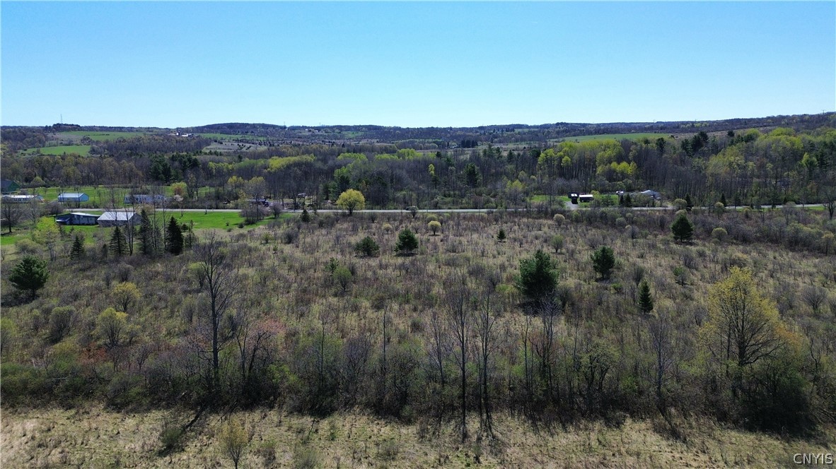 Lot 12 Reed Hill Road Fultonville, NY 12072 - Photo 2 of 15