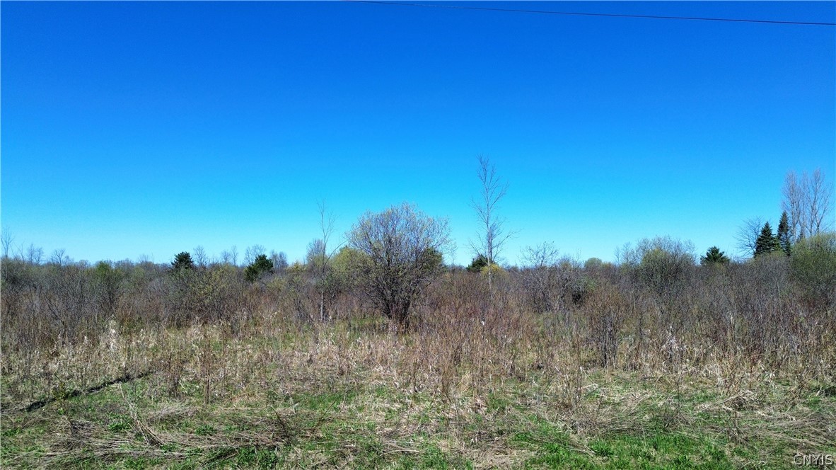 Lot 12 Reed Hill Road Fultonville, NY 12072 - Photo 3 of 15