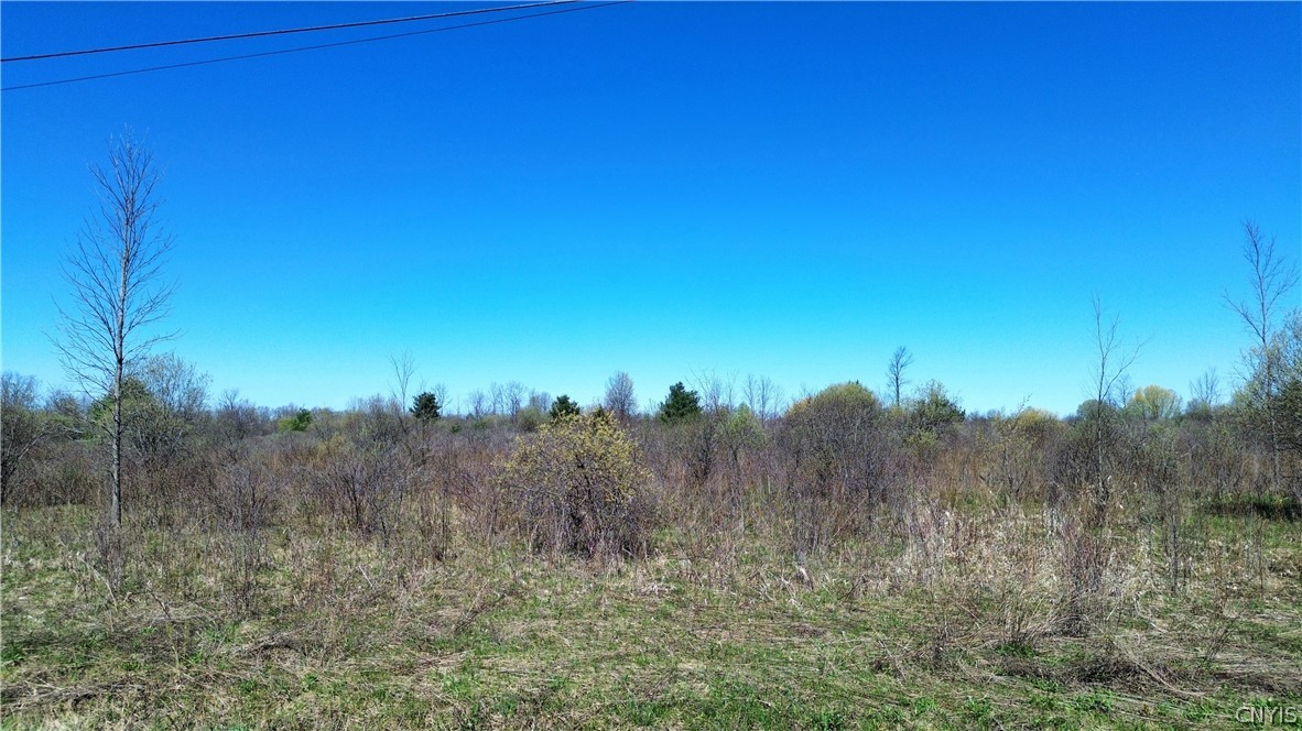 Lot 12 Reed Hill Road Fultonville, NY 12072 - Photo 4 of 15