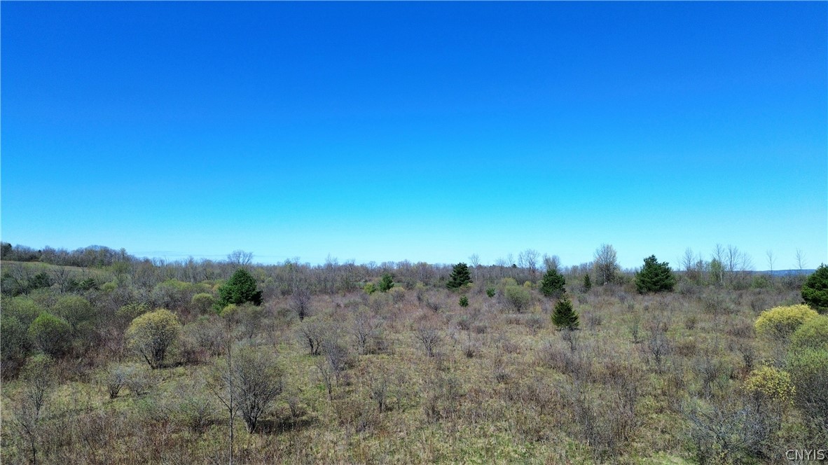 Lot 12 Reed Hill Road Fultonville, NY 12072 - Photo 5 of 15