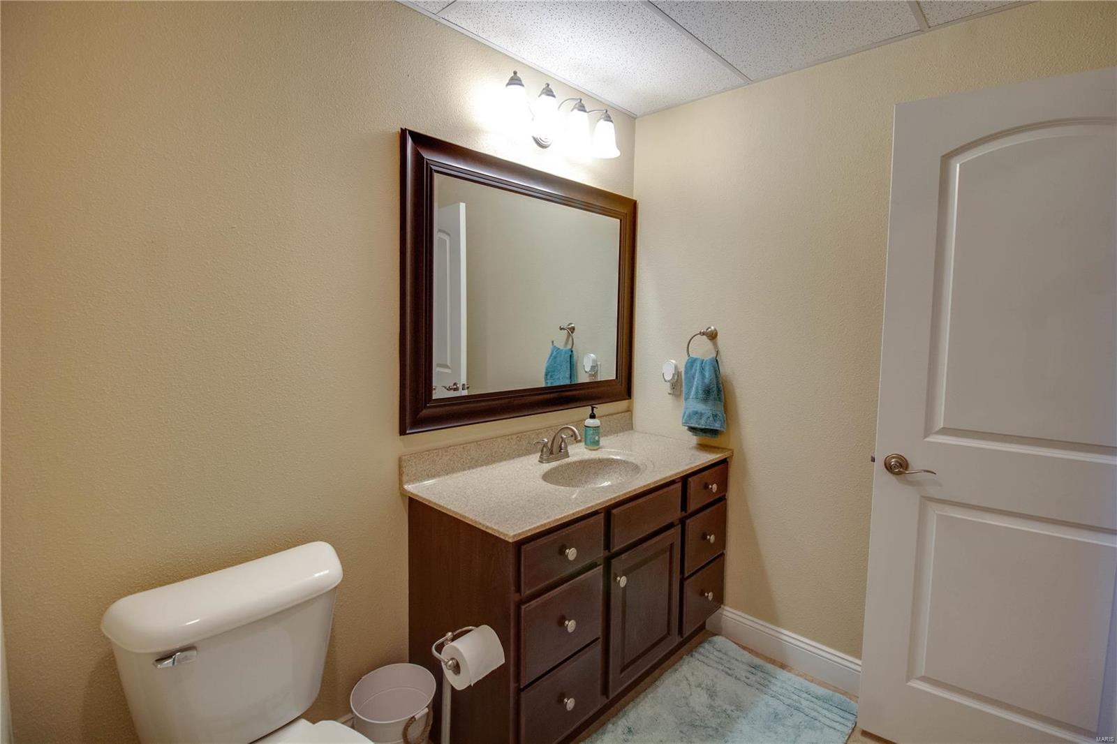 413 Cook Avenue Hamel, IL 62046 - Photo 37 of 45 Gallery Image 37