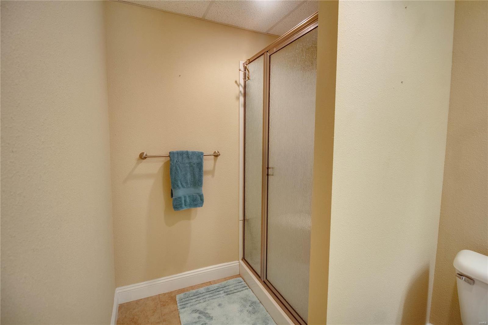 413 Cook Avenue Hamel, IL 62046 - Photo 38 of 45 Gallery Image 38