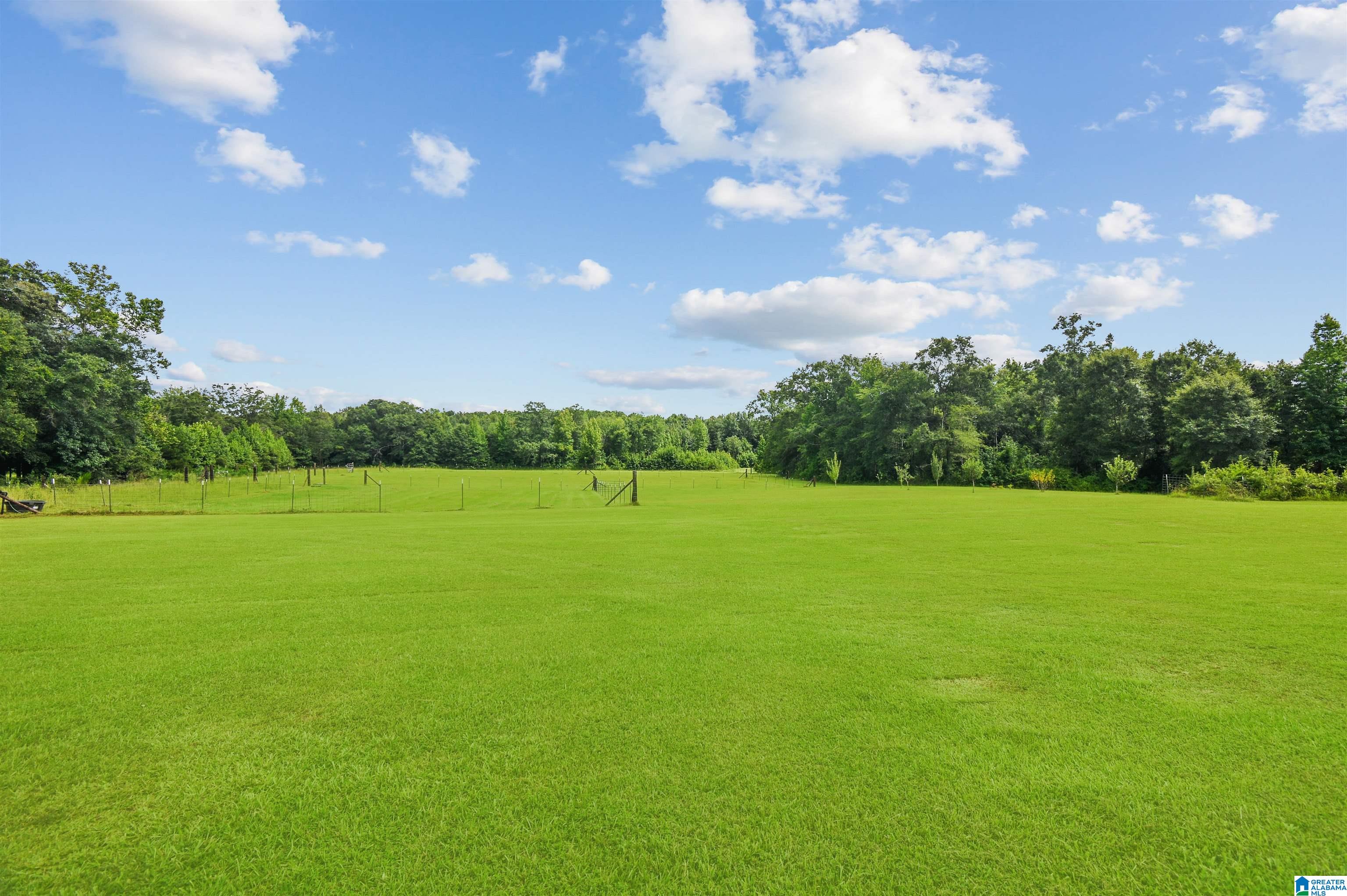 871 County Road 53 Clanton, AL 35045 - Photo 48 of 65
