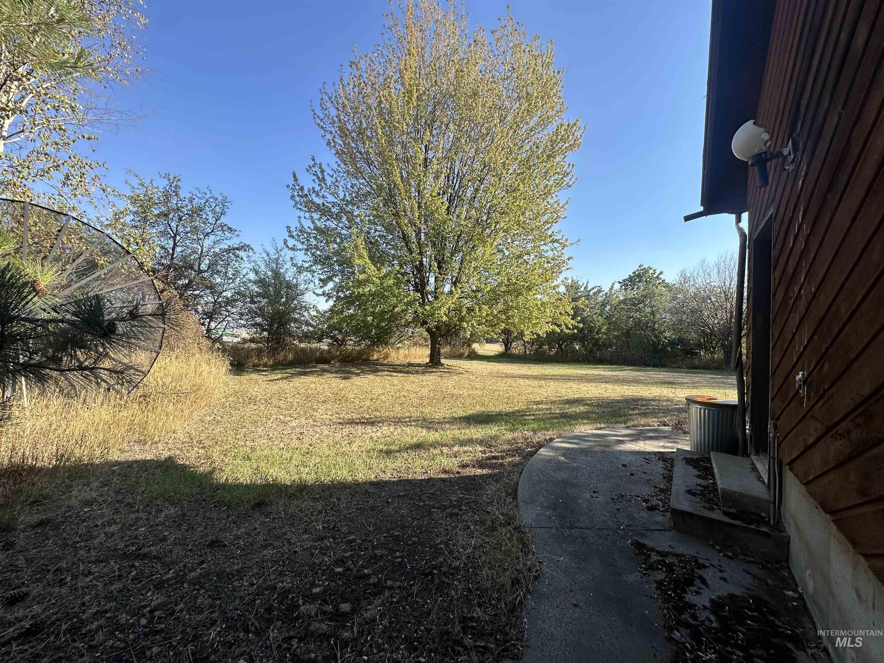 811 Florence Avenue Craigmont, ID 83523 - Photo 33 of 48 View of grassy yard