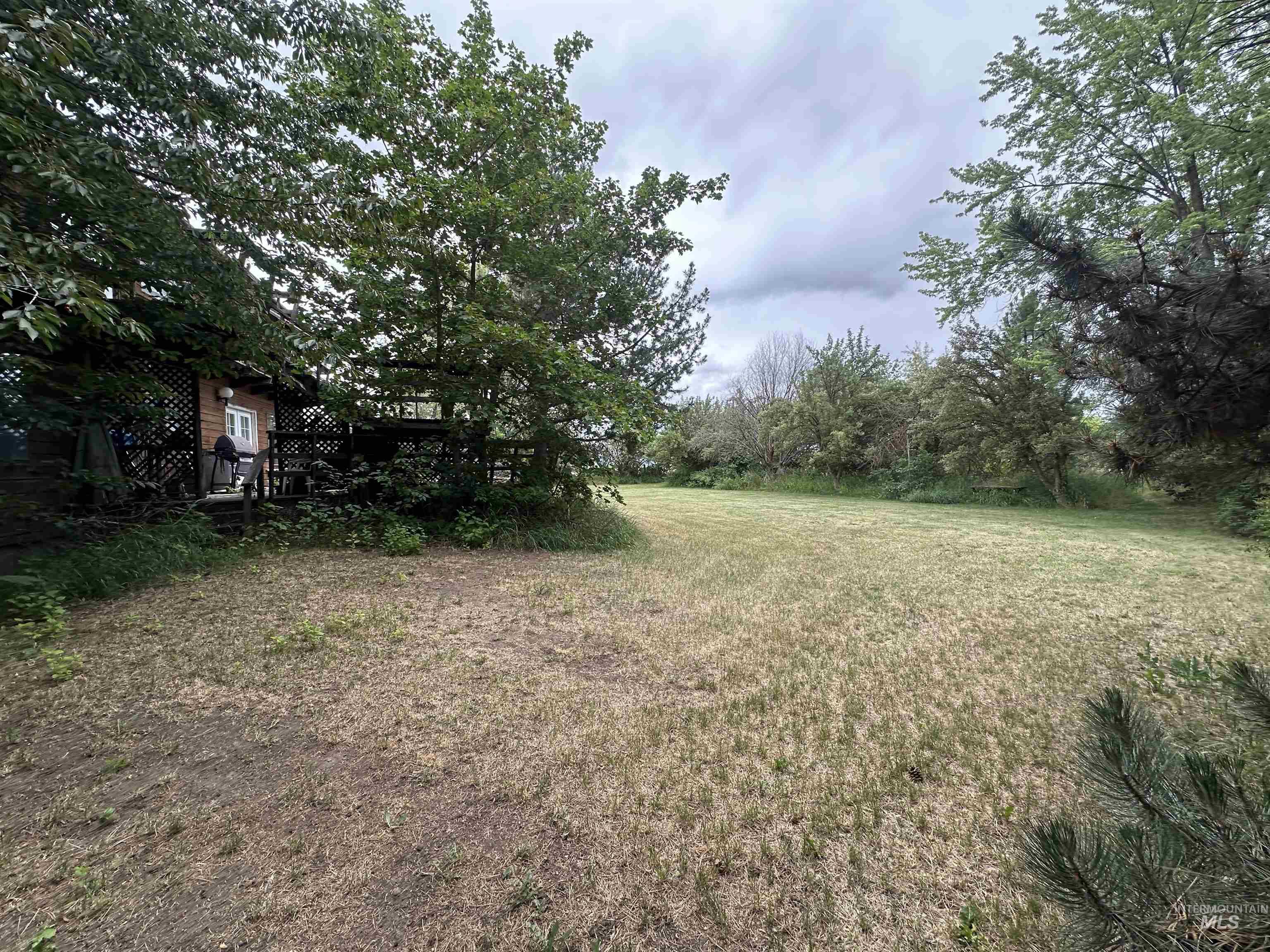 811 Florence Avenue Craigmont, ID 83523 - Photo 45 of 48 View of green lawn featuring a deck