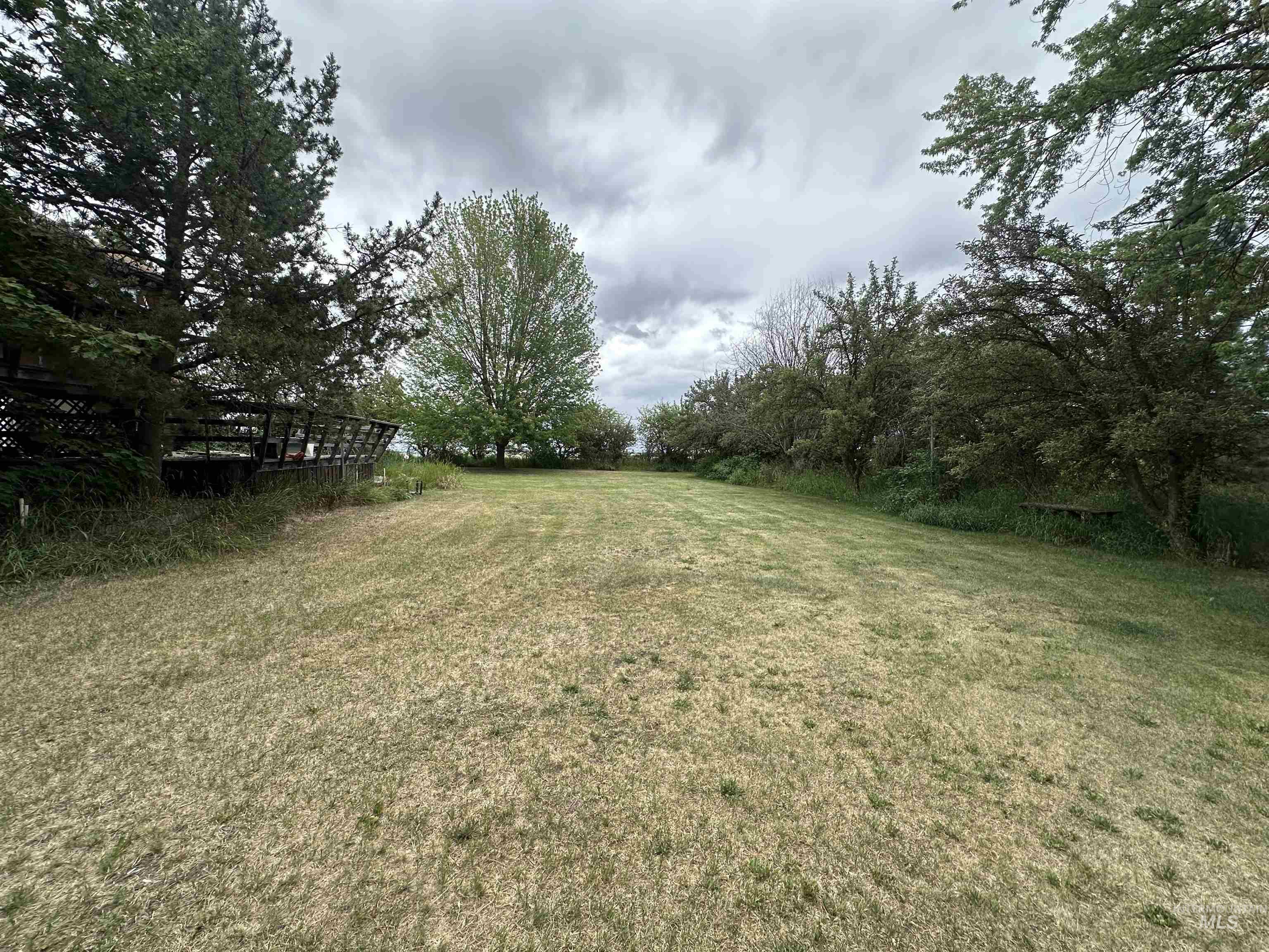 811 Florence Avenue Craigmont, ID 83523 - Photo 46 of 48 View of green lawn