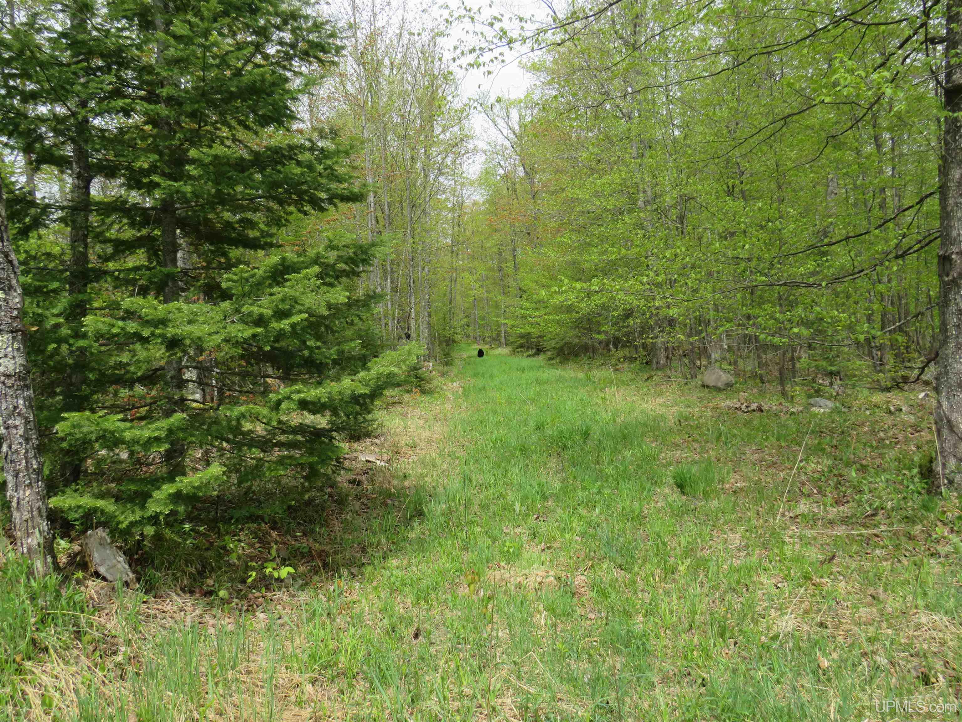 16 North Section 16 Road Covington, MI 49919 - Photo 9 of 24