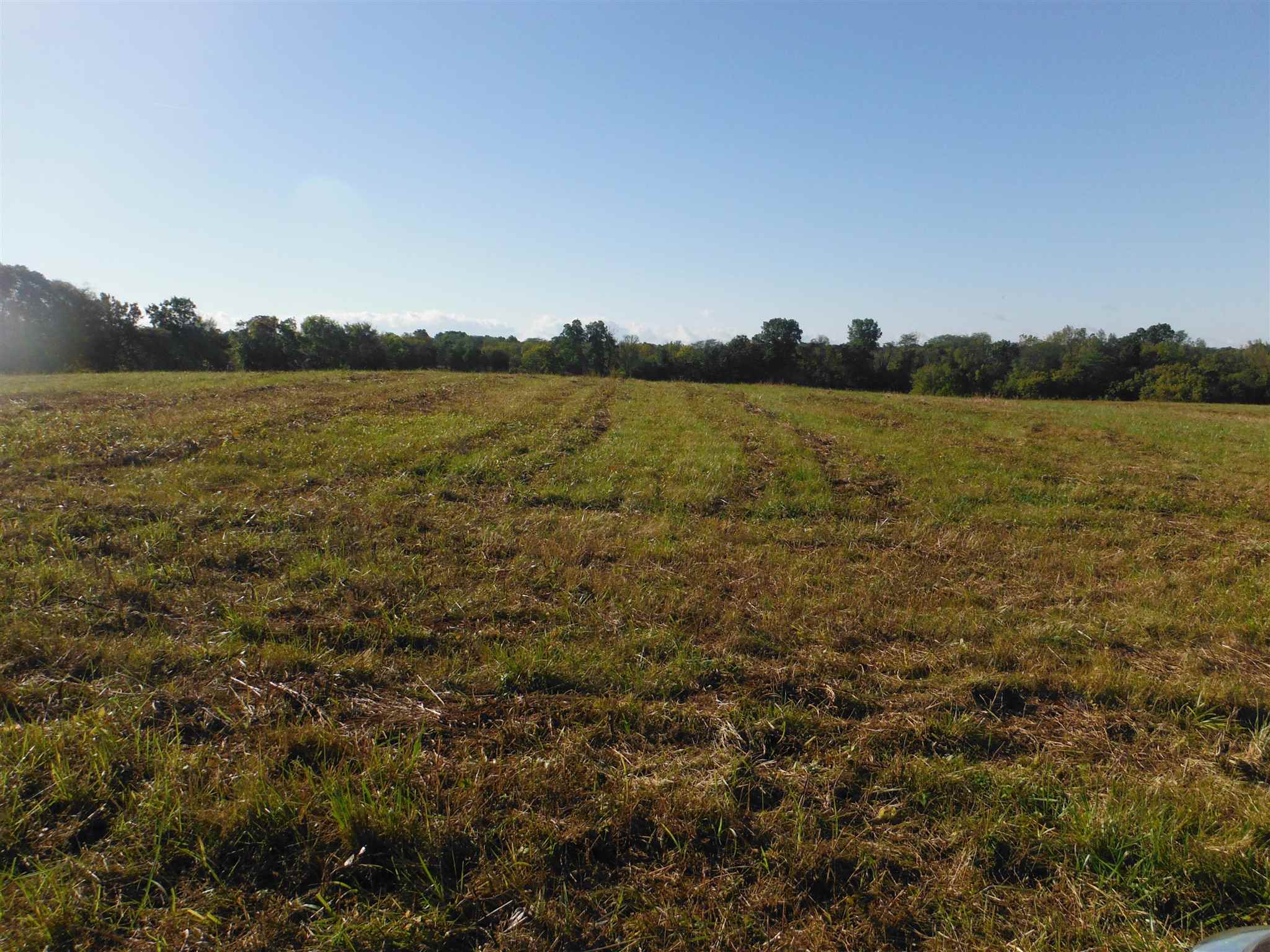 523 Foster Road Anna, IL 62906 - Photo 3 of 4 Gallery Image 3