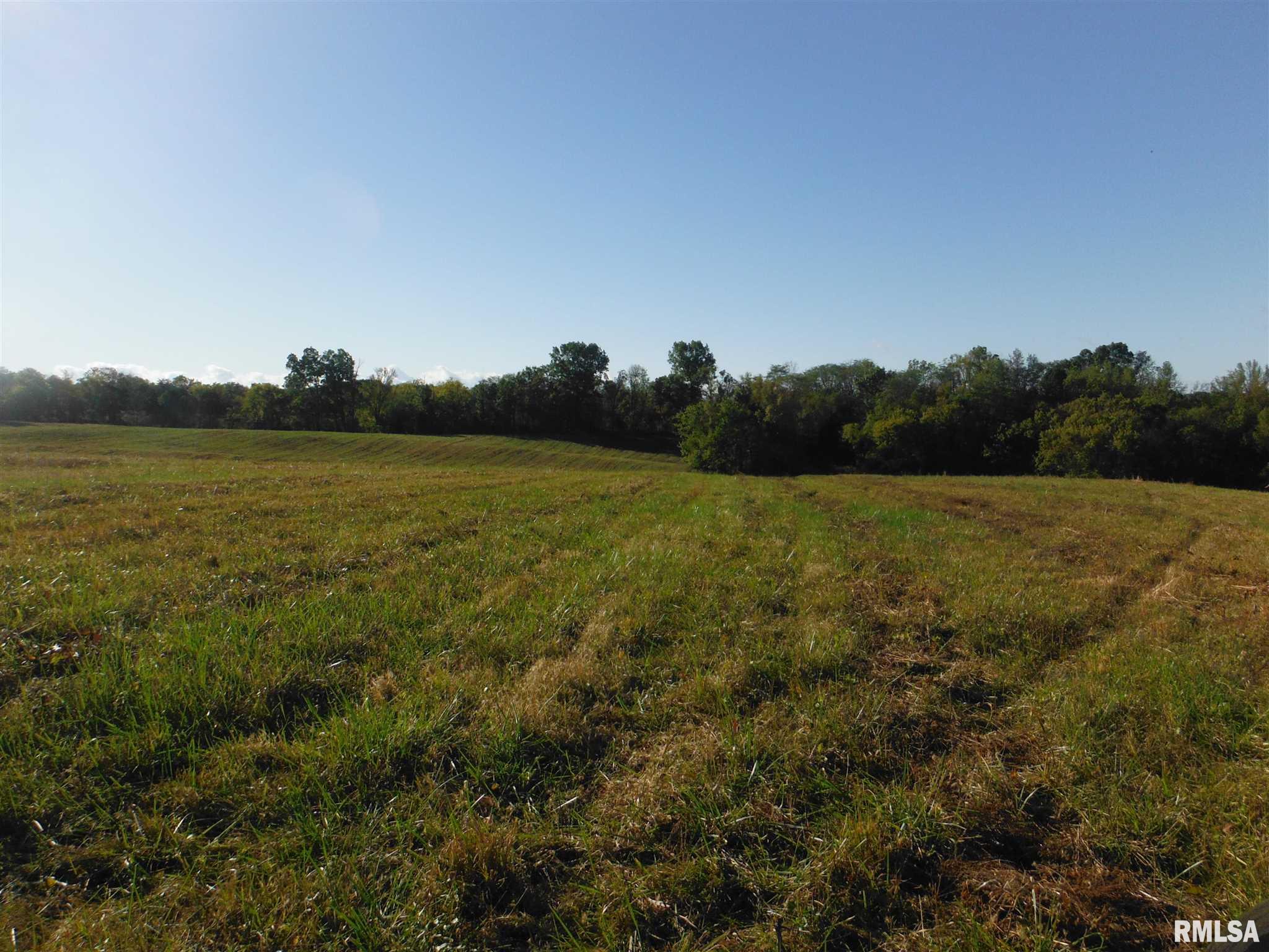 523 Foster Road Anna, IL 62906 - Photo 4 of 4 Gallery Image 4