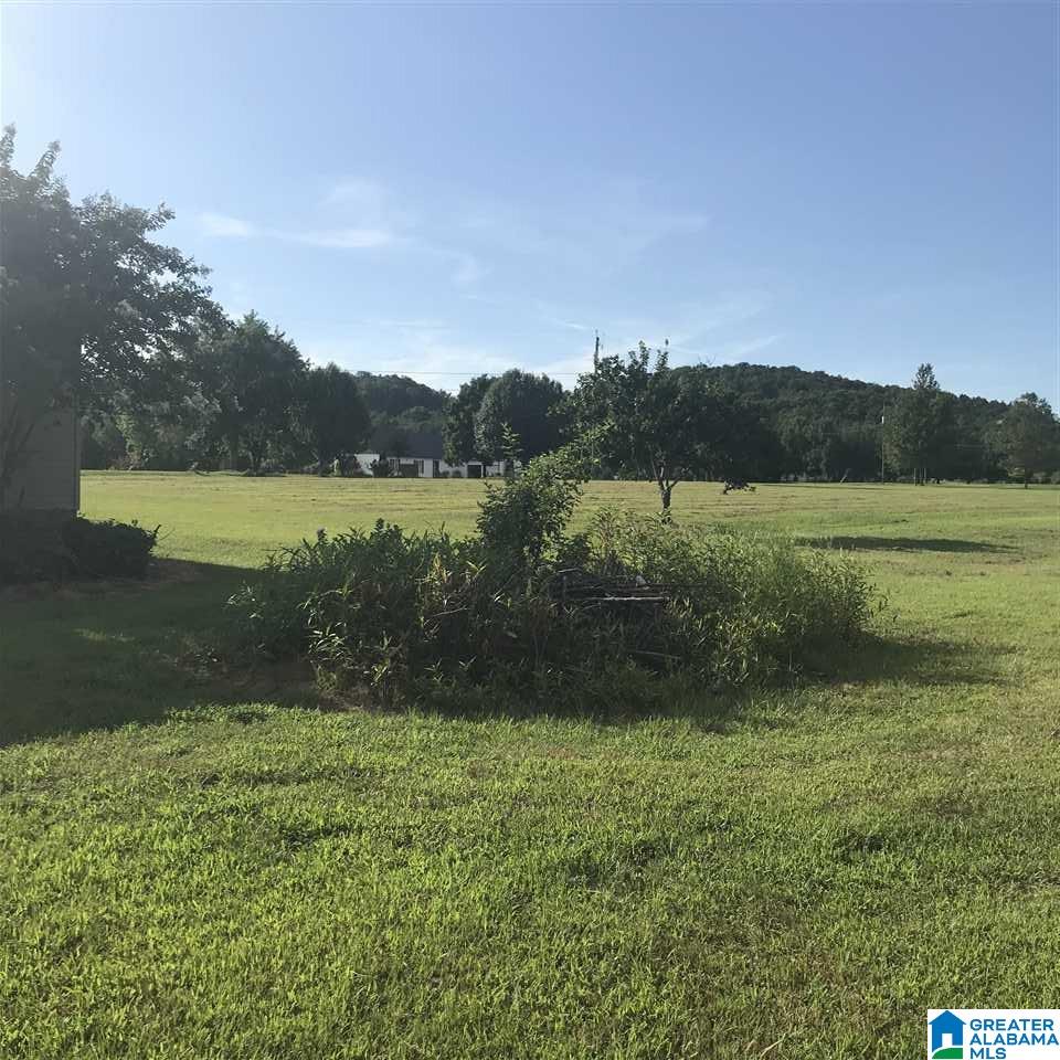 58 Maple Drive Boaz, AL 35956 - Photo 6 of 34