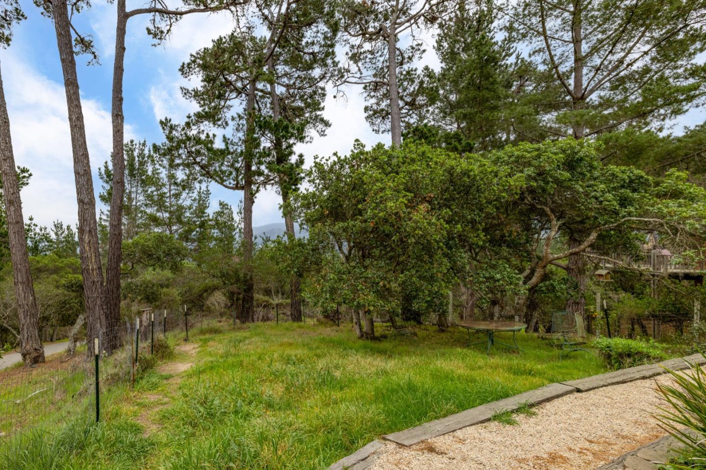 2 Cramden Drive Monterey, CA 93940 - Photo 47 of 50 a view of a park with large trees