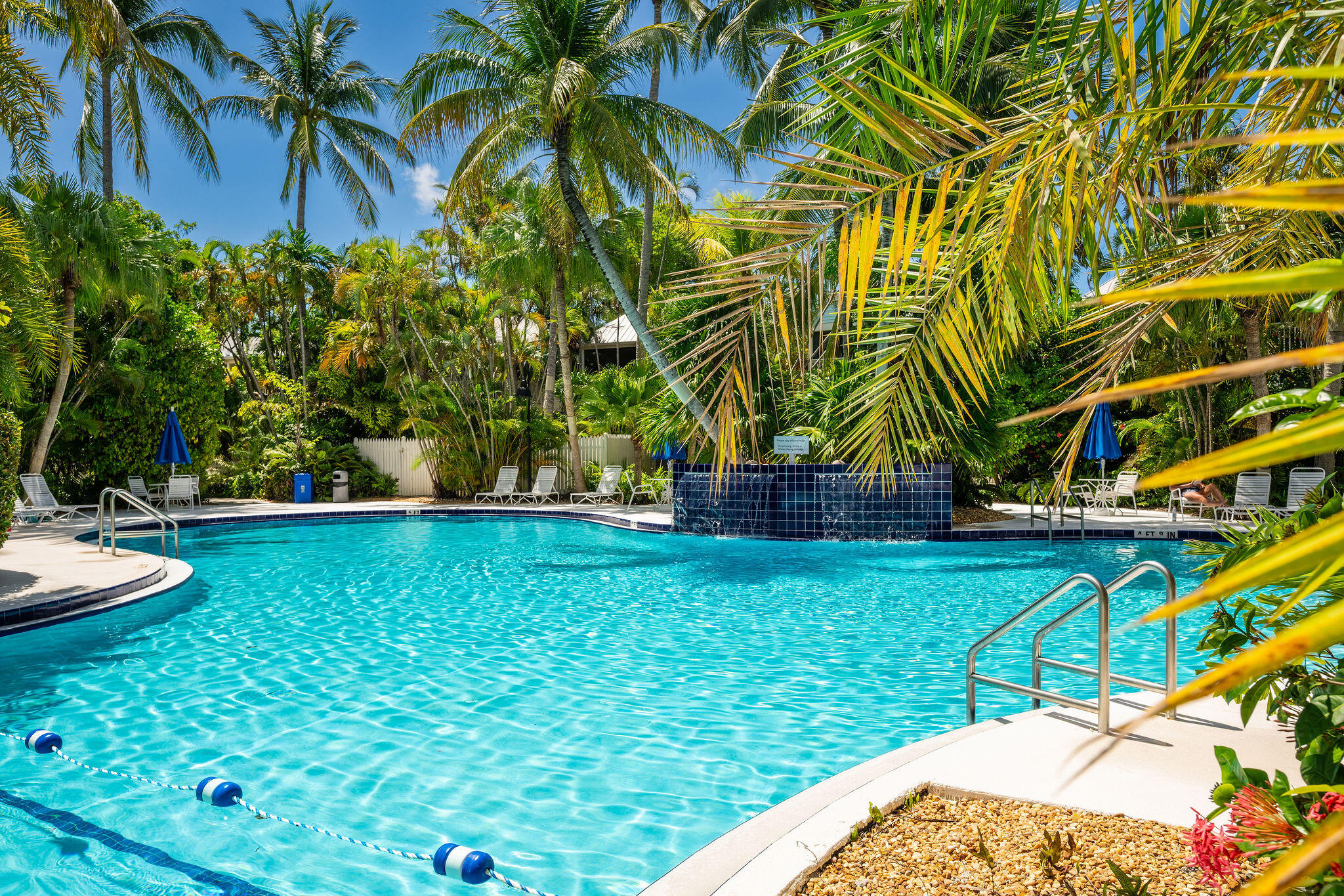 1 Spoonbill Way Key West, FL 33040 - Photo 35 of 38 a view of backyard with swimming pool and seating space