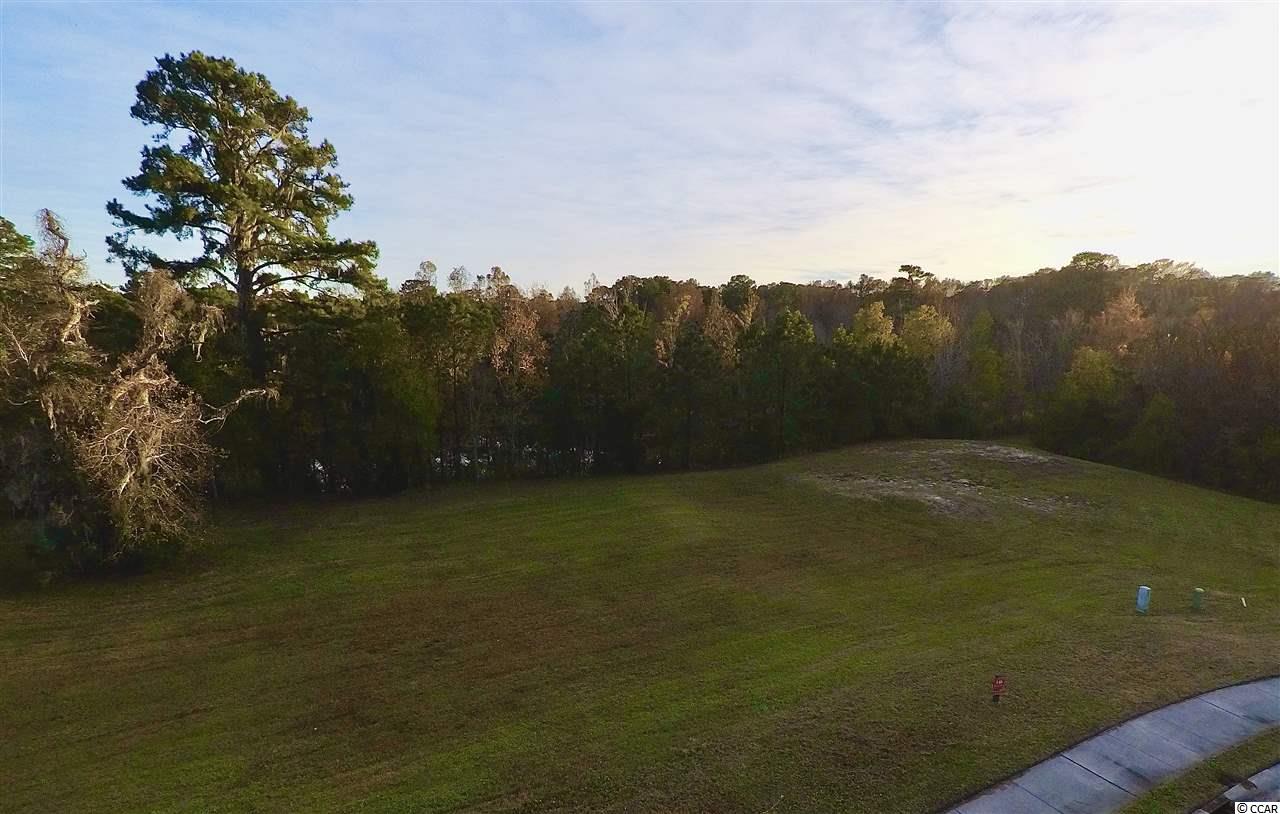 37 Millbrook Road Georgetown, SC 29440 - Photo 4 of 11