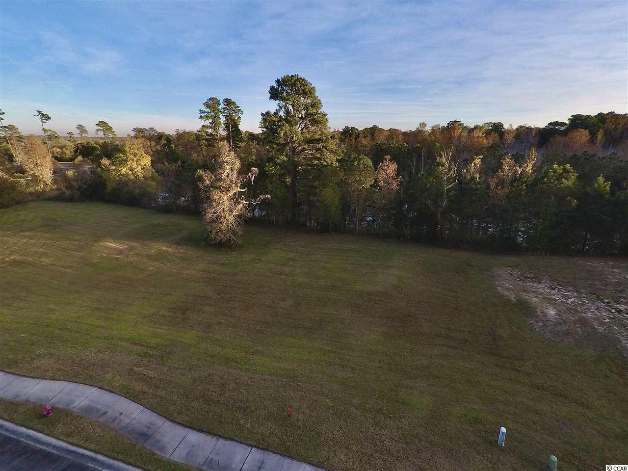 37 Millbrook Road Georgetown, SC 29440 - Photo 5 of 11
