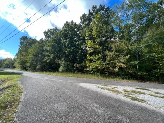 a view of a yard with large trees