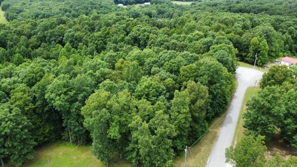 0 Vista Pointe Hohenwald, TN 38462 - Photo 5 of 8 an aerial view of residential house with outdoor space and trees all around