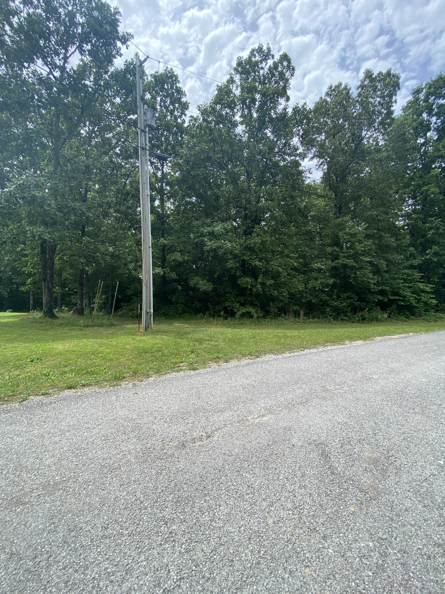 0 Vista Pointe Hohenwald, TN 38462 - Photo 6 of 8 a view of a park with large trees