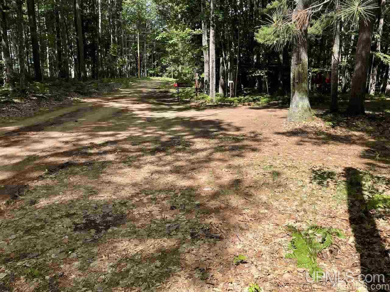 W3158 Co Road Big Bay, MI 49808 - Photo 5 of 16