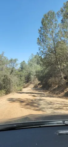 a view of beach with an ocean